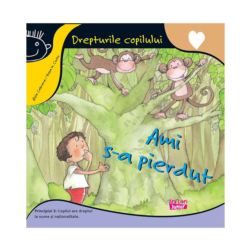 Ami s-a pierdut