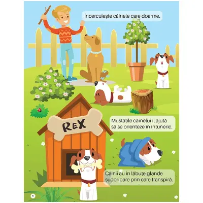 Descoperă ferma